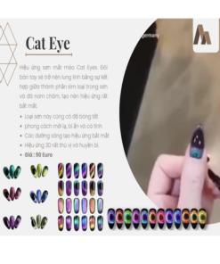 Sơn mắt mèo Cat Eyes 12 màu