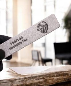 Dũa sư tử 100/100